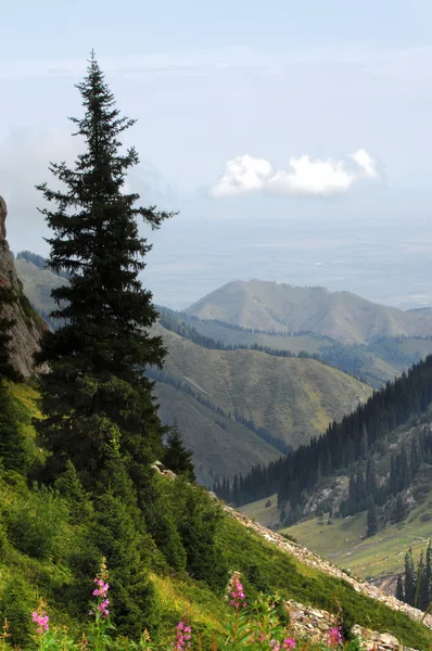 Bellissime Montagne Natura Viaggi — Foto Stock