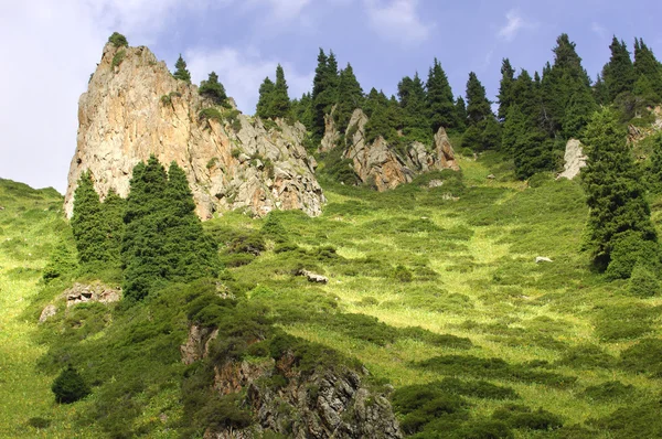 Prachtige Bergen Natuur Reizen — Stockfoto