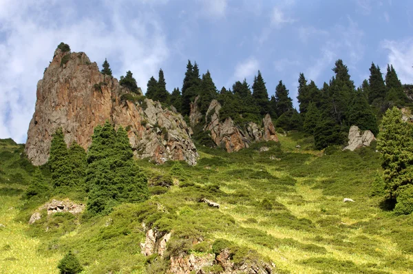 Hermosas Montañas Naturaleza Viajes —  Fotos de Stock