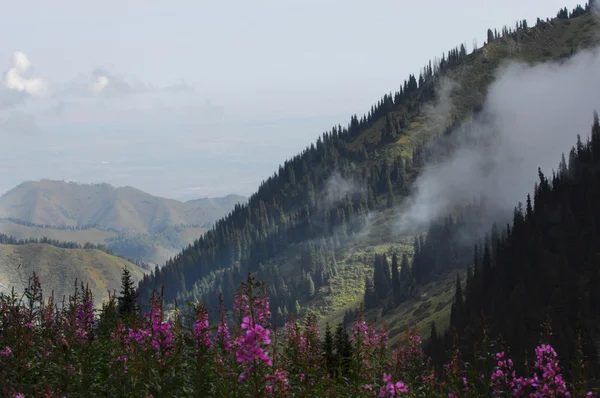 Beautiful Mountains Nature Travel — Stock Photo, Image