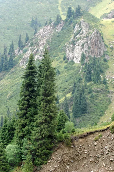 Bellissime Montagne Natura Viaggi — Foto Stock