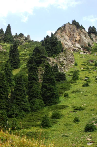 Güzel Dağlar Doğa Seyahat — Stok fotoğraf