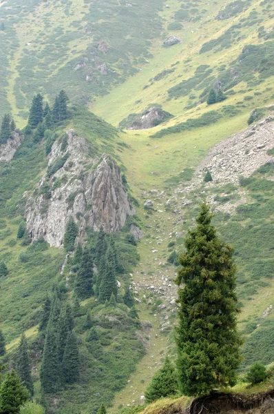 Bellissime Montagne Natura Viaggi — Foto Stock