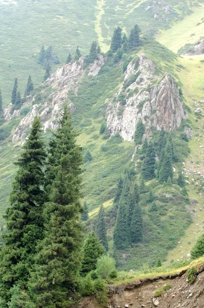 Piękne Góry Natura Podróżować — Zdjęcie stockowe
