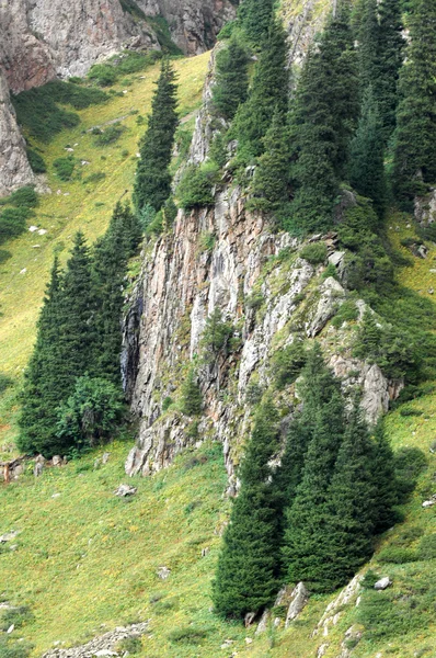 Vackra Berg Naturen Färdas — Stockfoto
