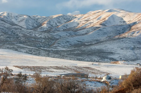 Kazachstan Tien Shan Mooi Landschap Met Uitzicht Bergen Winteravond — Stockfoto