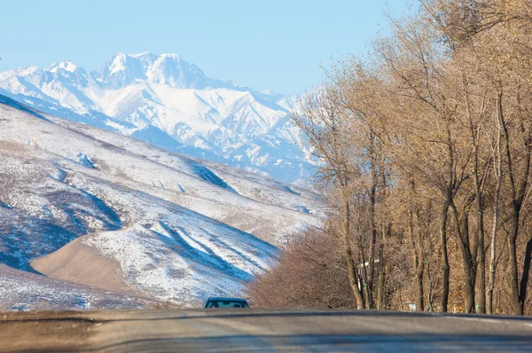 Kazakistan Tien Shan Dağ Manzaralı Güzel Manzara — Stok fotoğraf