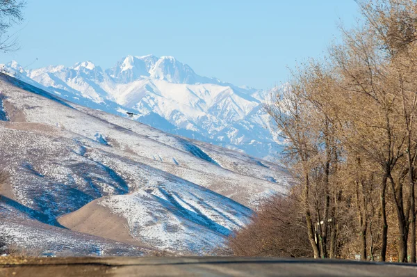 Kazakistan Tien Shan Dağ Manzaralı Güzel Manzara — Stok fotoğraf