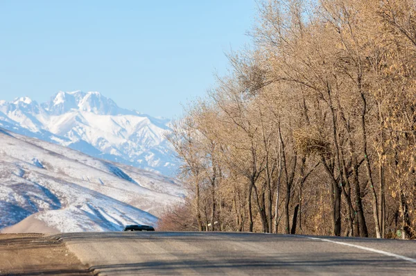 Cazaquistão Tien Shan Bela Paisagem Com Vista Para Montanha — Fotografia de Stock