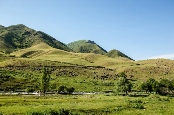 Mountain yurt — Stockfoto