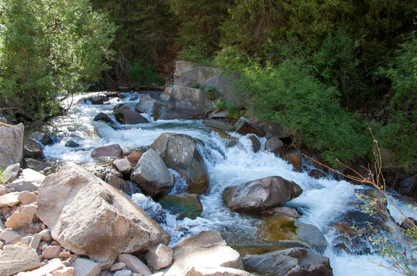 Montagne Tien Shan Assy Plateau Gola Turgen Zailiyskoe Alatau Altopiano — Foto Stock