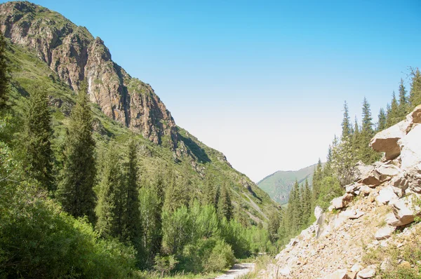 Montañas Tien Shan Meseta Assy Garganta Turgen Zailiyskoe Alatau Meseta — Foto de Stock