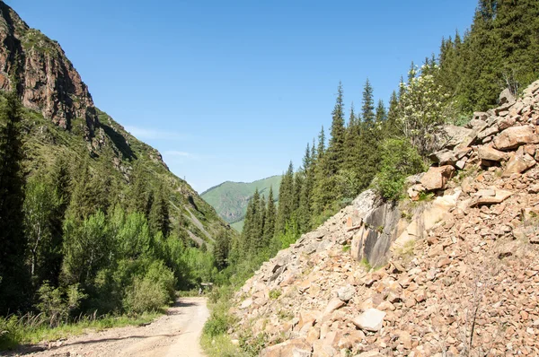 Tien Shan Gebergte Assy Plateau Turgen Gorge Zailiyskoe Alatau Plateau — Stockfoto