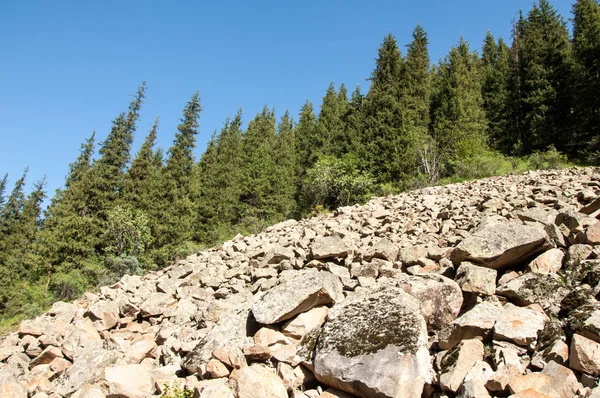 Montagne Tien Shan Assy Plateau Gola Turgen Zailiyskoe Alatau Altopiano — Foto Stock