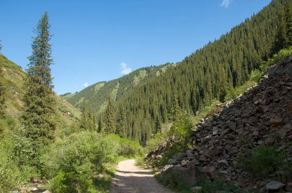 Tien Shan Mountains Assy Plateau Turgen Gorge Zailiyskoe Alatau Plateau — Stock Photo, Image