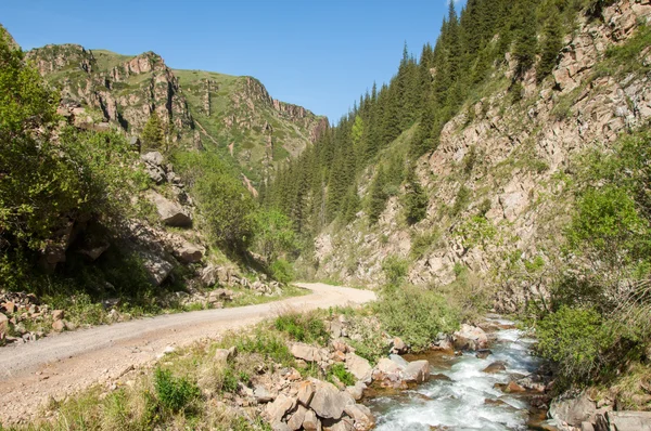 Tien Shan Dağlar Takma Yaylası Turgen Gorge Zailiyskoe Alatau Plato — Stok fotoğraf