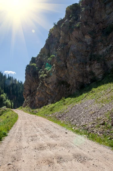 Tien Shan Dağlar Takma Yaylası Turgen Gorge Zailiyskoe Alatau Plato — Stok fotoğraf