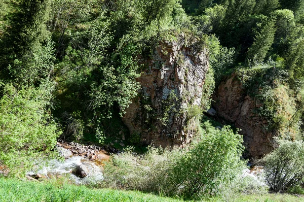 Montañas Tien Shan Meseta Assy Garganta Turgen Zailiyskoe Alatau Meseta — Foto de Stock