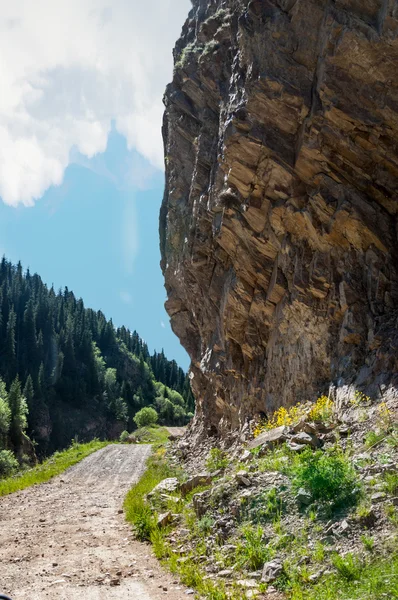 Tien Shan Dağlar Takma Yaylası Turgen Gorge Zailiyskoe Alatau Plato — Stok fotoğraf