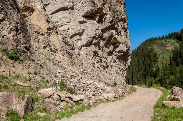 Tien Shan Dağlar Takma Yaylası Turgen Gorge Zailiyskoe Alatau Plato — Stok fotoğraf