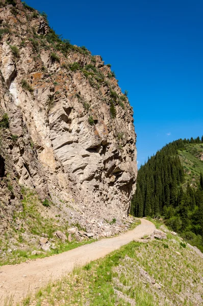 Tien Shan Dağlar Takma Yaylası Turgen Gorge Zailiyskoe Alatau Plato — Stok fotoğraf