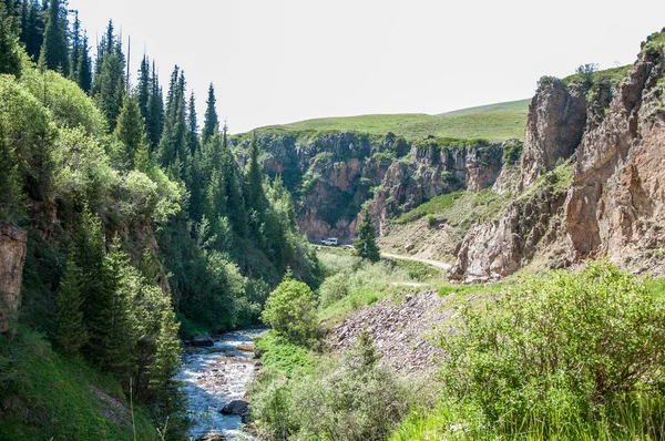 Tien Shan Dağlar Takma Yaylası Turgen Gorge Zailiyskoe Alatau Plato — Stok fotoğraf