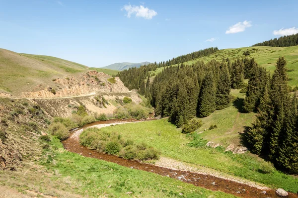 Tien Shan Dağlar Takma Yaylası Turgen Gorge Zailiyskoe Alatau Plato — Stok fotoğraf