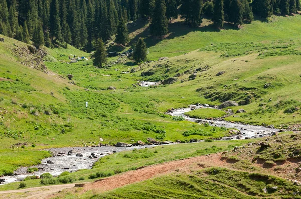 Montagne Tien Shan Assy Plateau Gola Turgen Zailiyskoe Alatau Altopiano — Foto Stock