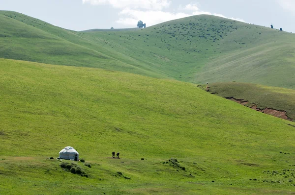 Montañas Tien Shan Meseta Assy Garganta Turgen Zailiyskoe Alatau Meseta — Foto de Stock