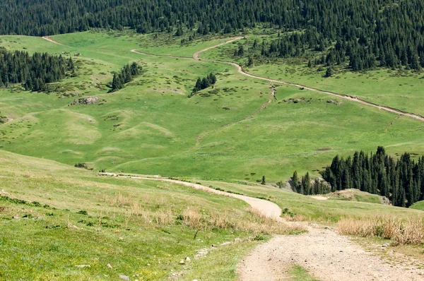 Tien Shan Dağlar Takma Yaylası Turgen Gorge Zailiyskoe Alatau Plato — Stok fotoğraf