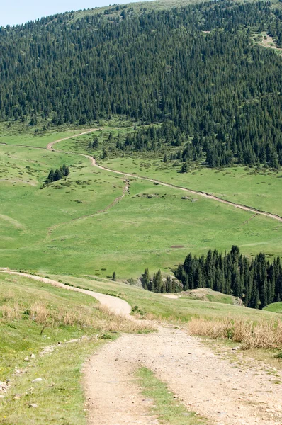 Tien Shan Dağlar Takma Yaylası Turgen Gorge Zailiyskoe Alatau Plato — Stok fotoğraf