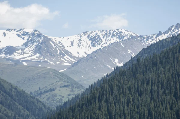 Tien Shan mountains. Assy plateau — Stock Photo, Image