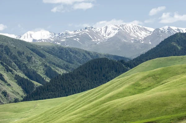 Hora Hora Vrch Kazachstán Tien Shan Komplet Plošina — Stock fotografie