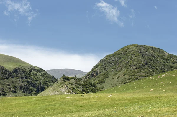 Góra Góra Wzgórze Kazachstan Tien Shan Assy Płaskowyżu — Zdjęcie stockowe