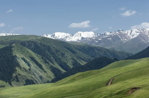 山，山山 — 图库照片