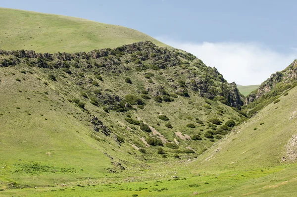 Dağ Dağ Tepe Kazakistan Tien Shan Takma Yaylası — Stok fotoğraf