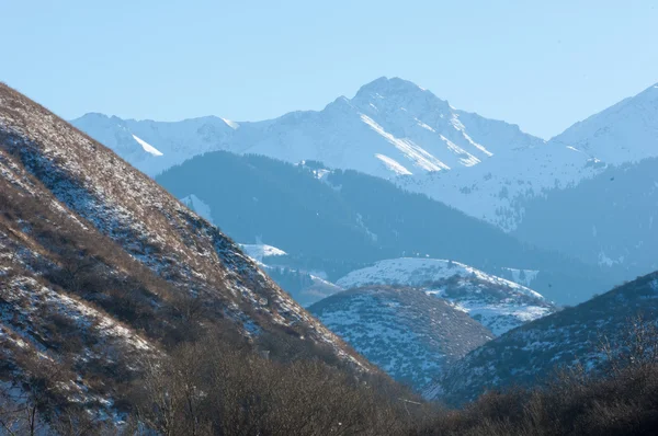 Kazachstan Tien Shan Piękny Krajobraz Widokiem Góry — Zdjęcie stockowe