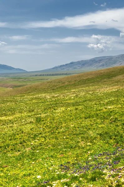 Hora Hora Vrch Kazachstán Tien Shan Komplet Plošina — Stock fotografie