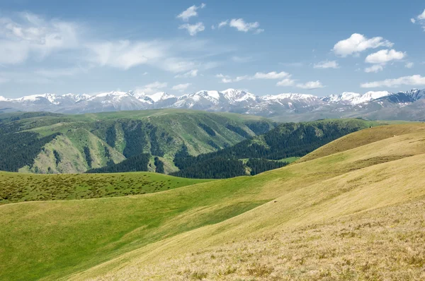 Гори, Гора, Хілл — стокове фото