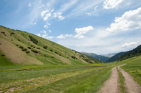 Montagna Monte Collina Kazakistan Tien Shan Altopiano Assato — Foto Stock