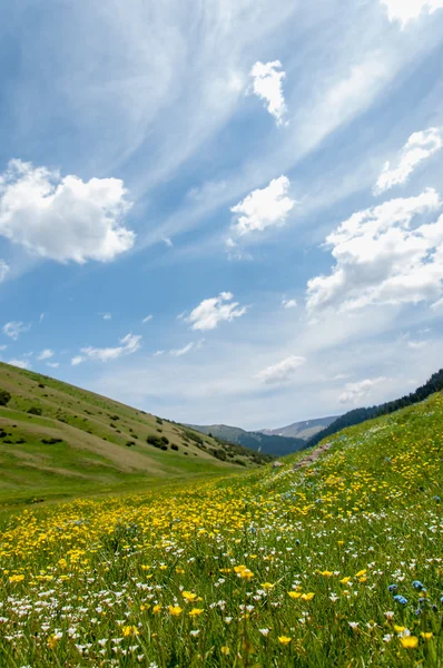 Berg Berg Berg Kasachstan Das Ist Nicht Der Fall Hochplateau — Stockfoto