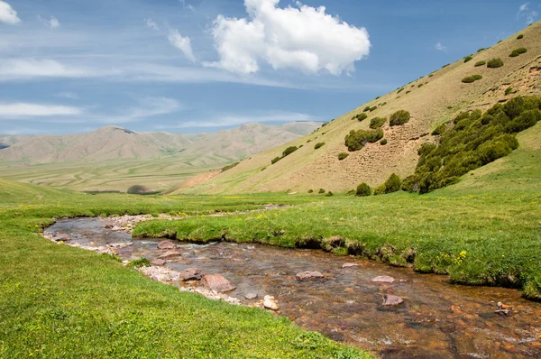 Montaña Monte Colina Kazajstán Tien Shan Meseta Assy — Foto de Stock