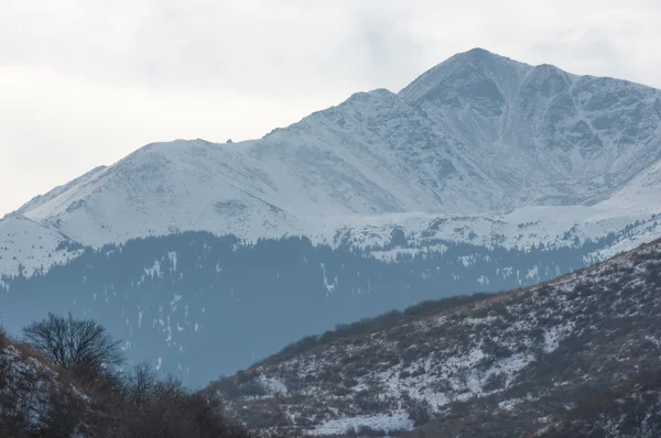 Kazakstan Tien Shan Vackert Landskap Med Utsikt Över Bergen Vinter — Stockfoto