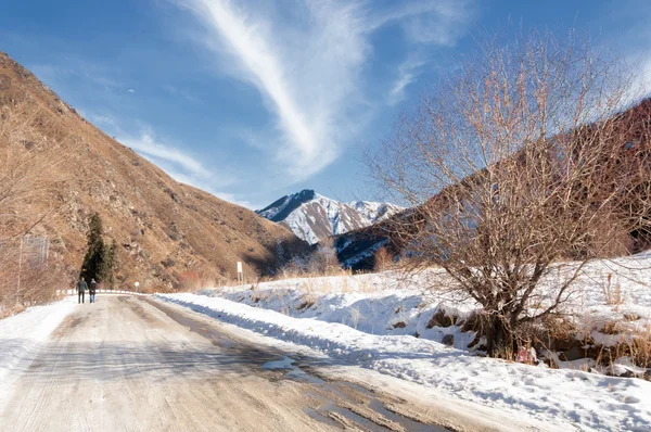 Cazaquistão Tien Shan Bela Paisagem Com Vista Para Montanha — Fotografia de Stock