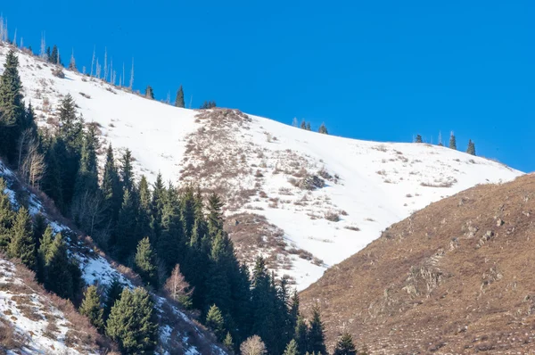 Kazakistan Tien Shan Dağ Manzaralı Güzel Manzara — Stok fotoğraf