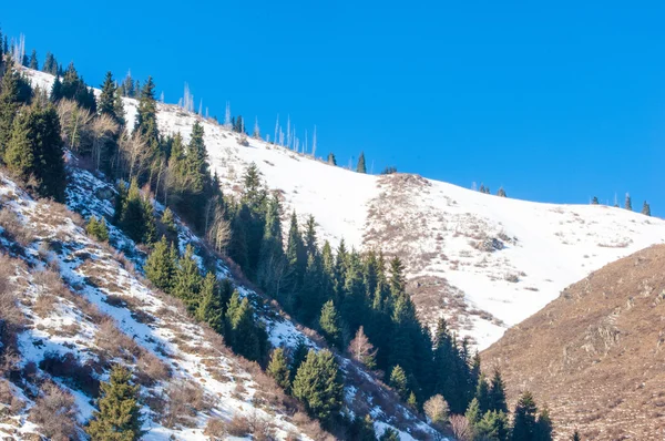 Kazachstan Tien Shan Piękny Krajobraz Widokiem Góry — Zdjęcie stockowe