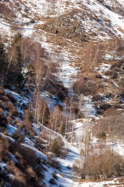 Kazachstan Tien Shan Piękny Krajobraz Widokiem Góry Zimowego Wieczoru — Zdjęcie stockowe