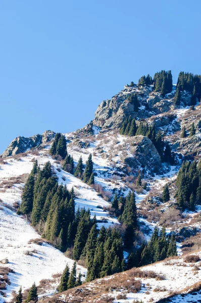 田北俊议员山. — 图库照片