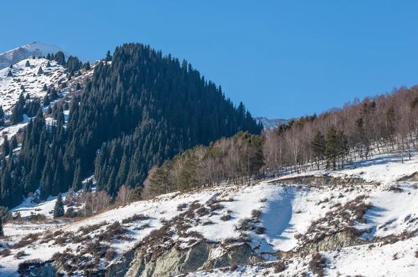 Kasachstan Das Ist Nicht Der Fall Schöne Landschaft Mit Blick — Stockfoto