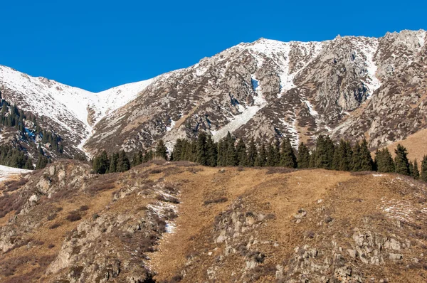 Cazaquistão Tien Shan Bela Paisagem Com Vista Para Montanha — Fotografia de Stock